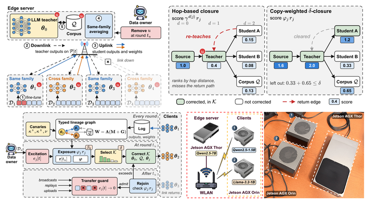HERD: knowledge lineage and delta-closure under mutual distillation